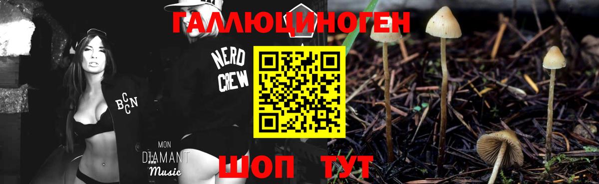 Рубцовск  Псилоцибиновые грибы MAGIC MUSHROOMS  Вход с VPN 